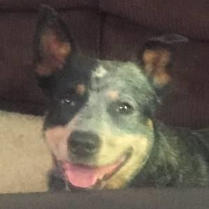 Meet your Posher, Cheri